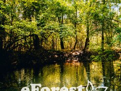 Crevedia, teren de casa la padure 720 mp, front 18 ml